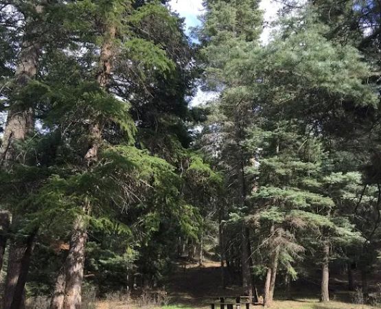Rio Puerco Campground, Coyote Ranger District, Santa Fe National Forest