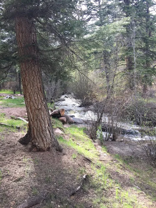 Rio Puerco Campground, Coyote Ranger District, Santa Fe National Forest 3