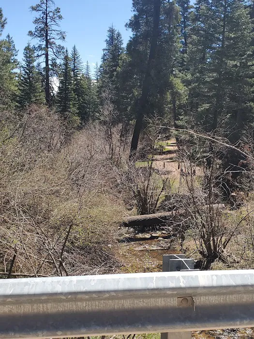 Rio Puerco Campground, Coyote Ranger District, Santa Fe National Forest 6