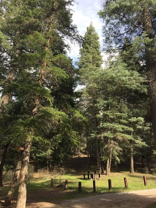 Rio Puerco Campground, Coyote Ranger District, Santa Fe National Forest 8