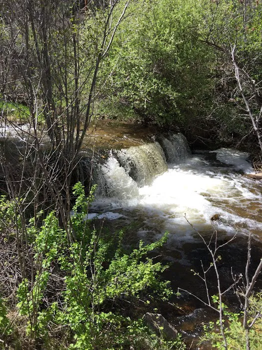 Rio Puerco Campground, Coyote Ranger District, Santa Fe National Forest 9