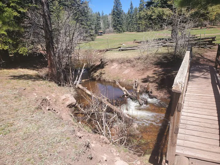 Resumidero Campground, Santa Fe National Forest, Coyote Ranger District 4