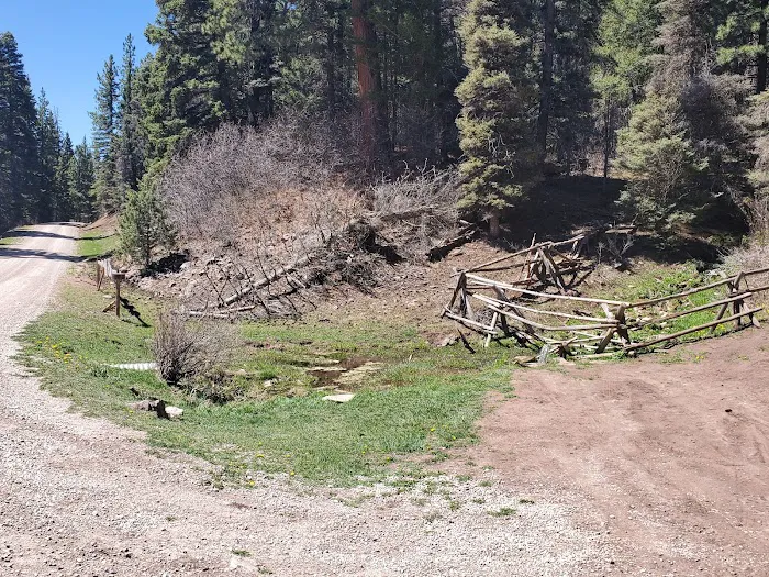 Resumidero Campground, Santa Fe National Forest, Coyote Ranger District 6