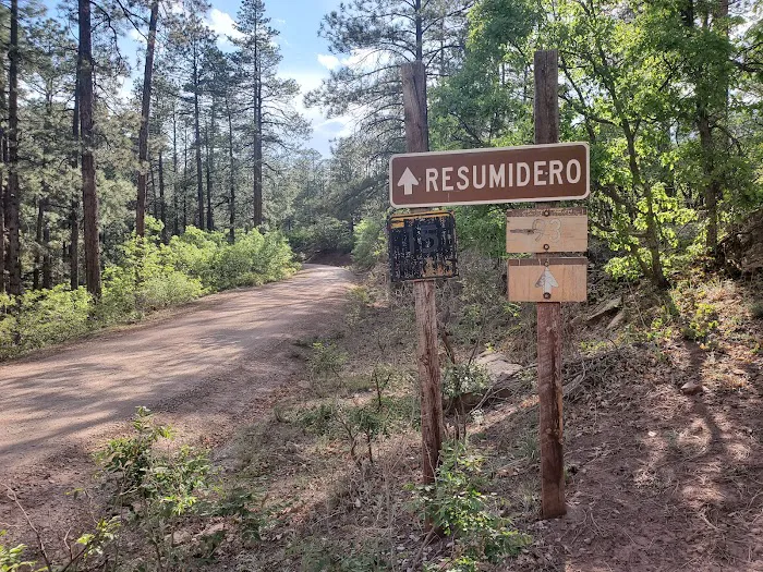 Resumidero Campground, Santa Fe National Forest, Coyote Ranger District 5