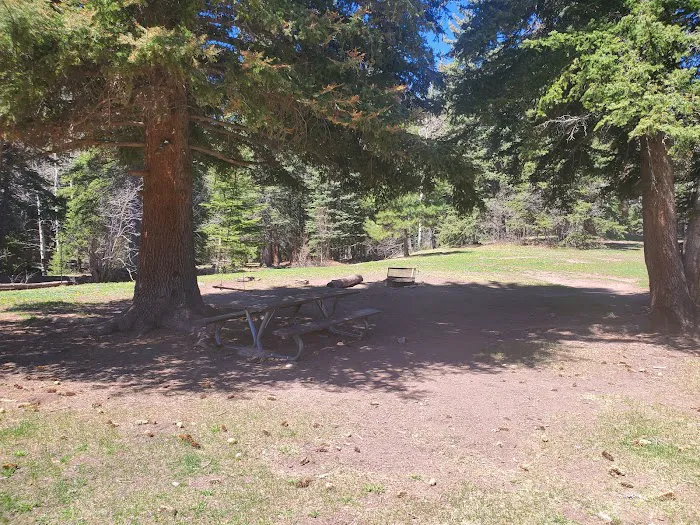 Resumidero Campground, Santa Fe National Forest, Coyote Ranger District 8