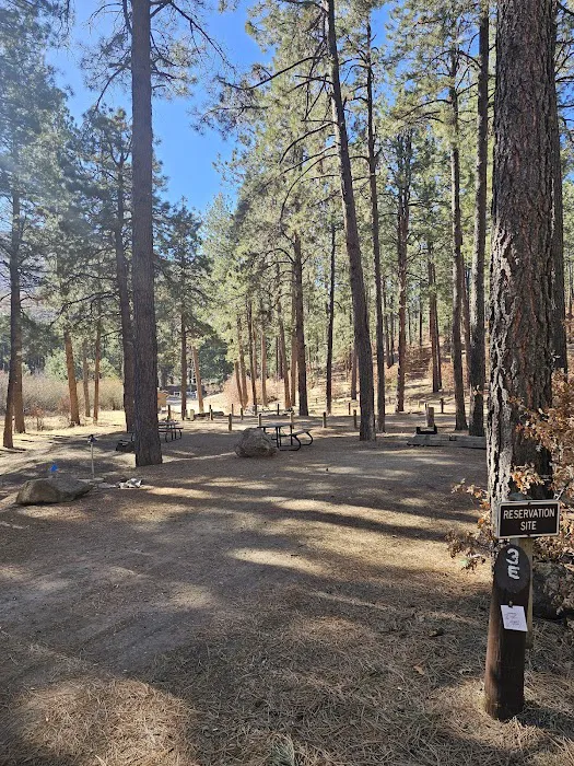 Fenton Lake State Park Campground 7