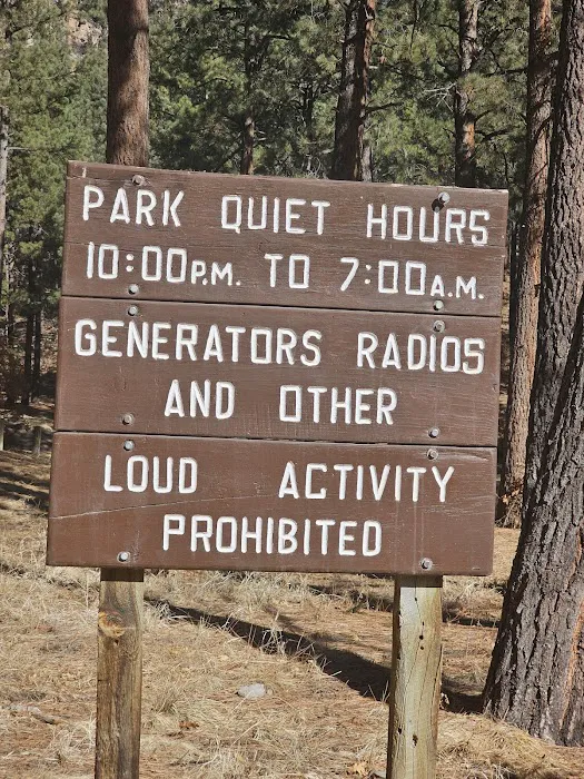 Fenton Lake State Park Campground 8