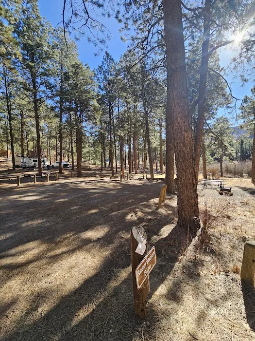Fenton Lake State Park Campground 5