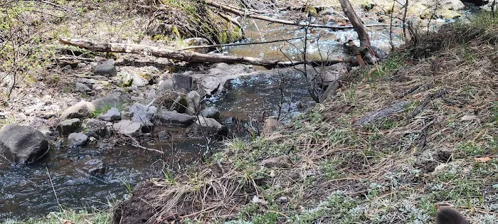 Coyote Canyon Campground, Santa Fe National Forest, Coyote Ranger District, USDA 0