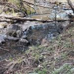 Coyote Canyon Campground, Santa Fe National Forest, Coyote Ranger District, USDA