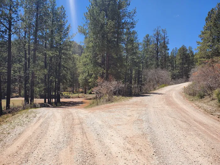 Coyote Canyon Campground, Santa Fe National Forest, Coyote Ranger District, USDA 7