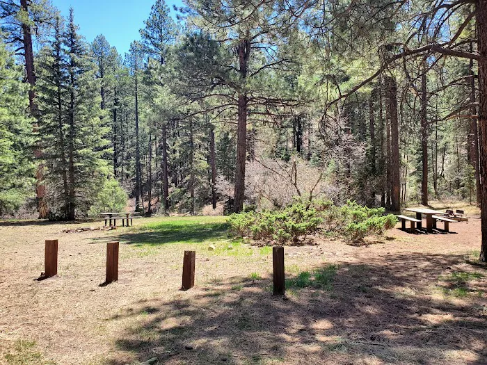 Coyote Canyon Campground, Santa Fe National Forest, Coyote Ranger District, USDA 5