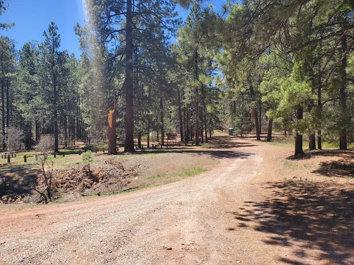 Coyote Canyon Campground, Santa Fe National Forest, Coyote Ranger District, USDA 3