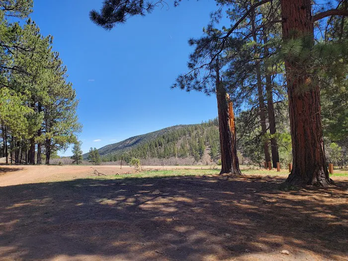 Coyote Canyon Campground, Santa Fe National Forest, Coyote Ranger District, USDA 9