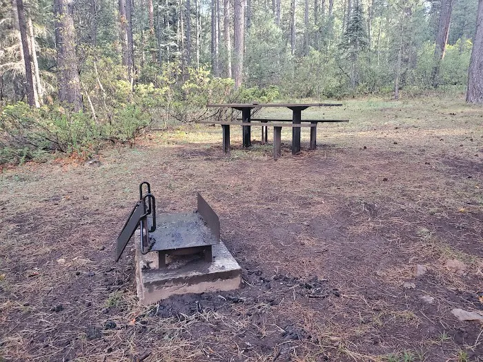 Coyote Canyon Campground, Santa Fe National Forest, Coyote Ranger District, USDA 8