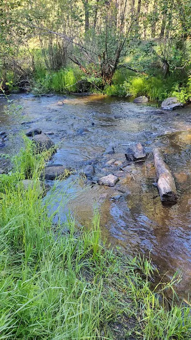 San Antonio Campground 9
