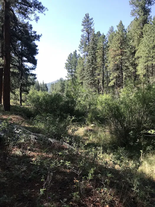 San Antonio Campground 6