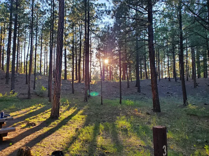 Redondo Campground 3