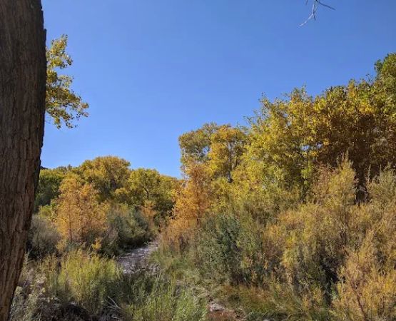Rincon Fishing Site (recgovnpsdata)