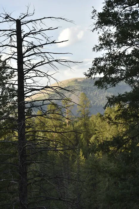 Jemez Falls Campgrounds 5