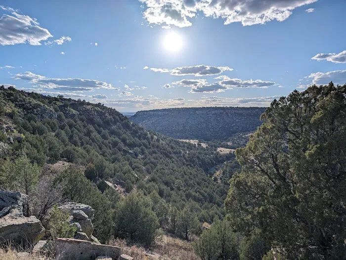 Roy Ranch Harvest Host 1