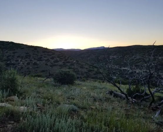 Chase Cow Camp