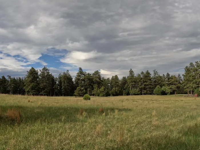 Mesa Urraca Campground 0