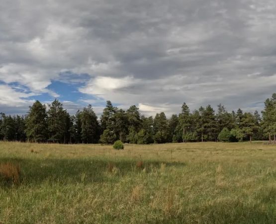Mesa Urraca Campground
