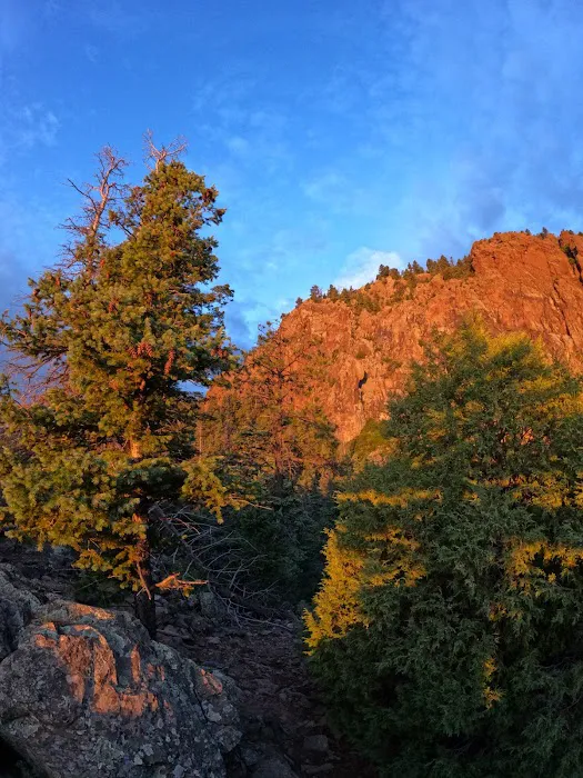 Mesa Urraca Campground 2