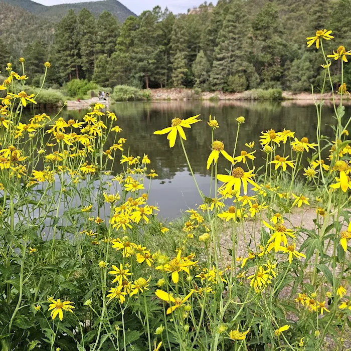 Maverick Campground 1