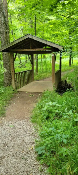 South Side Area Campground 4