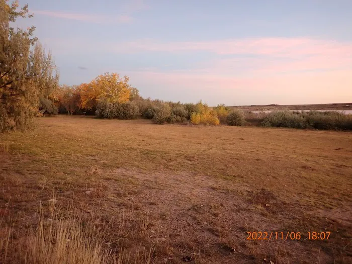 South Side Area Campground 5