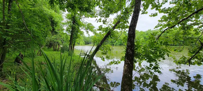 South Side Area Campground 8