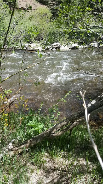 Cowles Ponds Fishing Site 3
