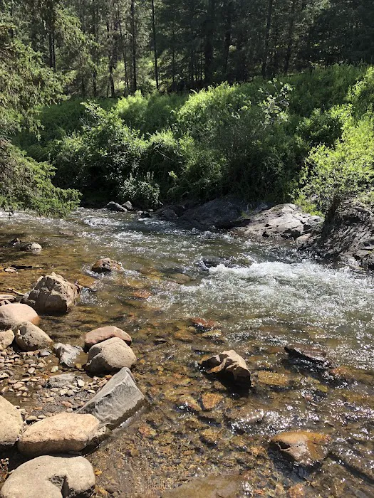 Cowles Ponds Fishing Site 1