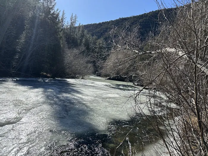 Cowles Ponds Fishing Site 7