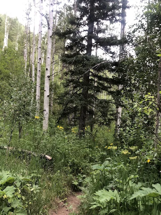 Winsor Creek Fishing Area and Trailhead 6