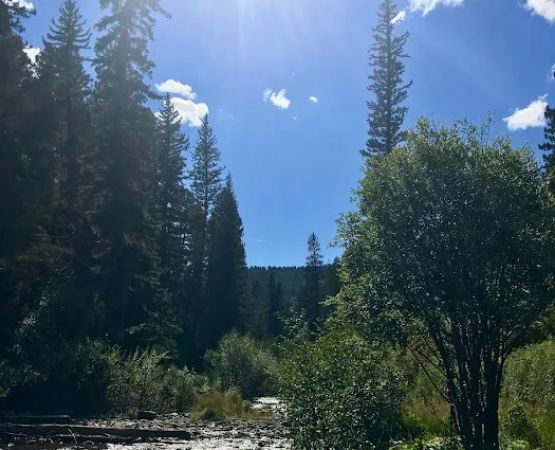Jacks Creek Horse Camp