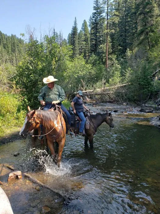 Jacks Creek Horse Camp 2
