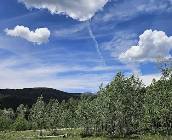 Jacks Creek Campground