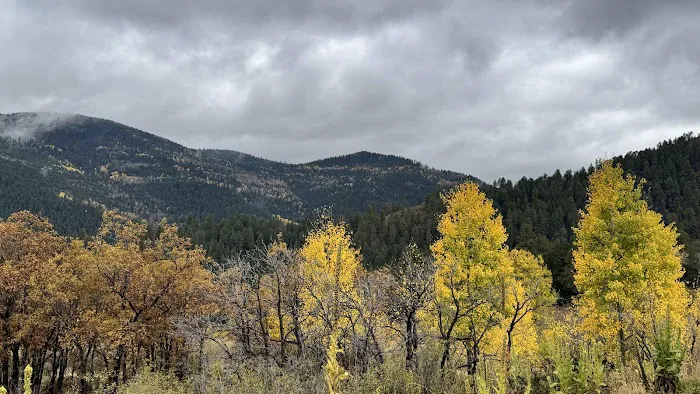 Jacks Creek Campground 1