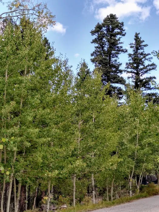Jacks Creek Campground 3