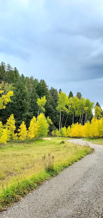 Jacks Creek Campground 8