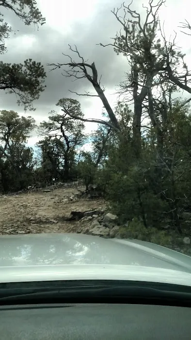 Links Tract Campground (recgovnpsdata) 2