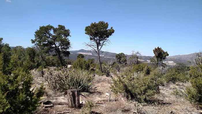 Links Tract Campground (recgovnpsdata) 3