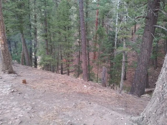 Davis - Willow Dispersed Campground 5