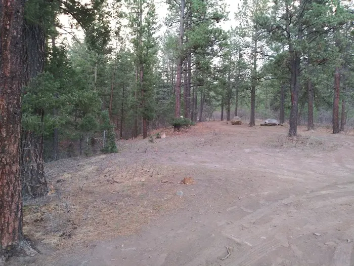 Davis - Willow Dispersed Campground 1