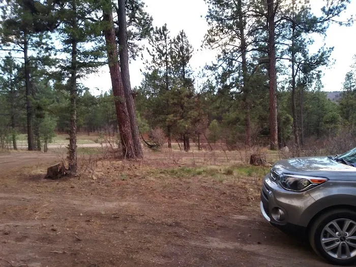 Davis - Willow Dispersed Campground 6