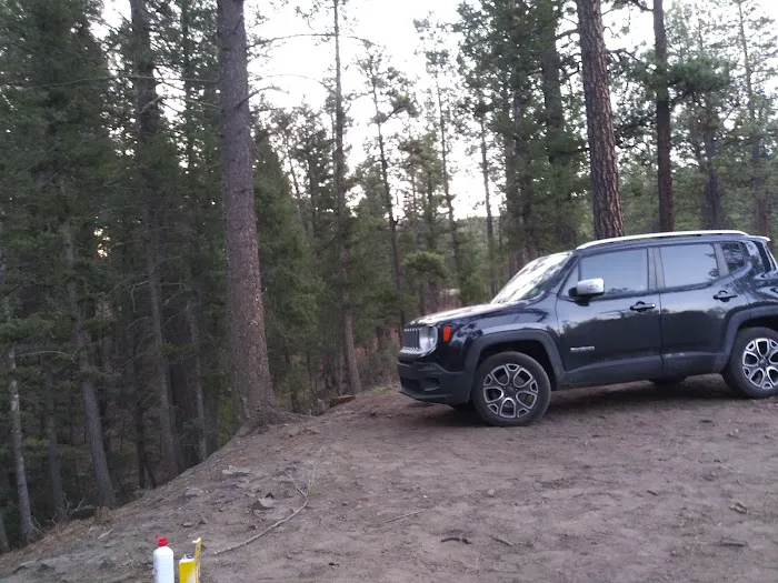 Davis - Willow Dispersed Campground 8