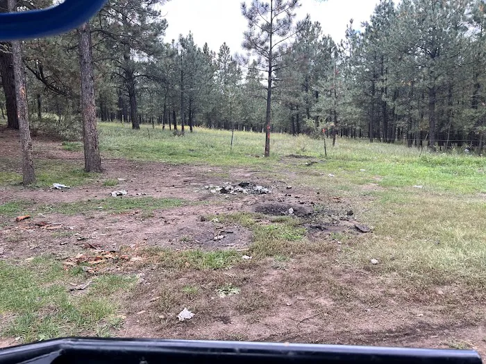 Davis - Willow Dispersed Campground 9